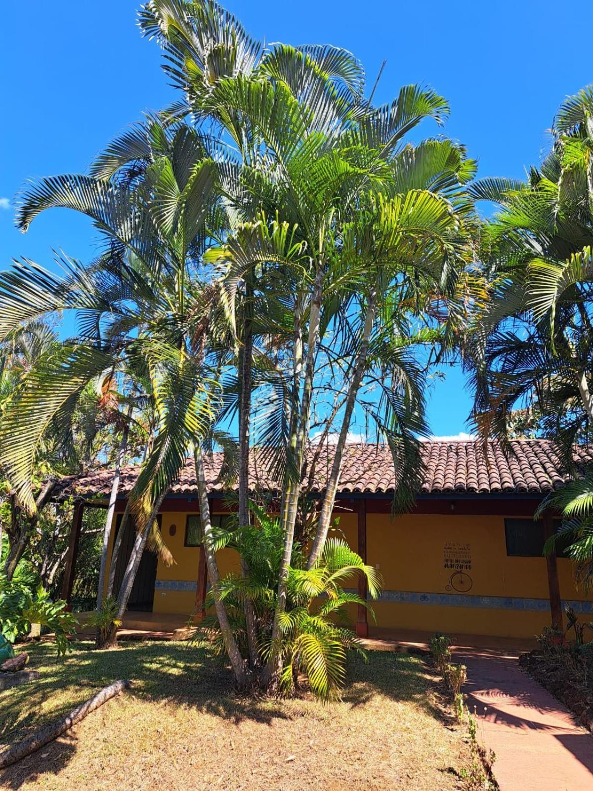 Serenity By Nature Carrillos Exterior photo