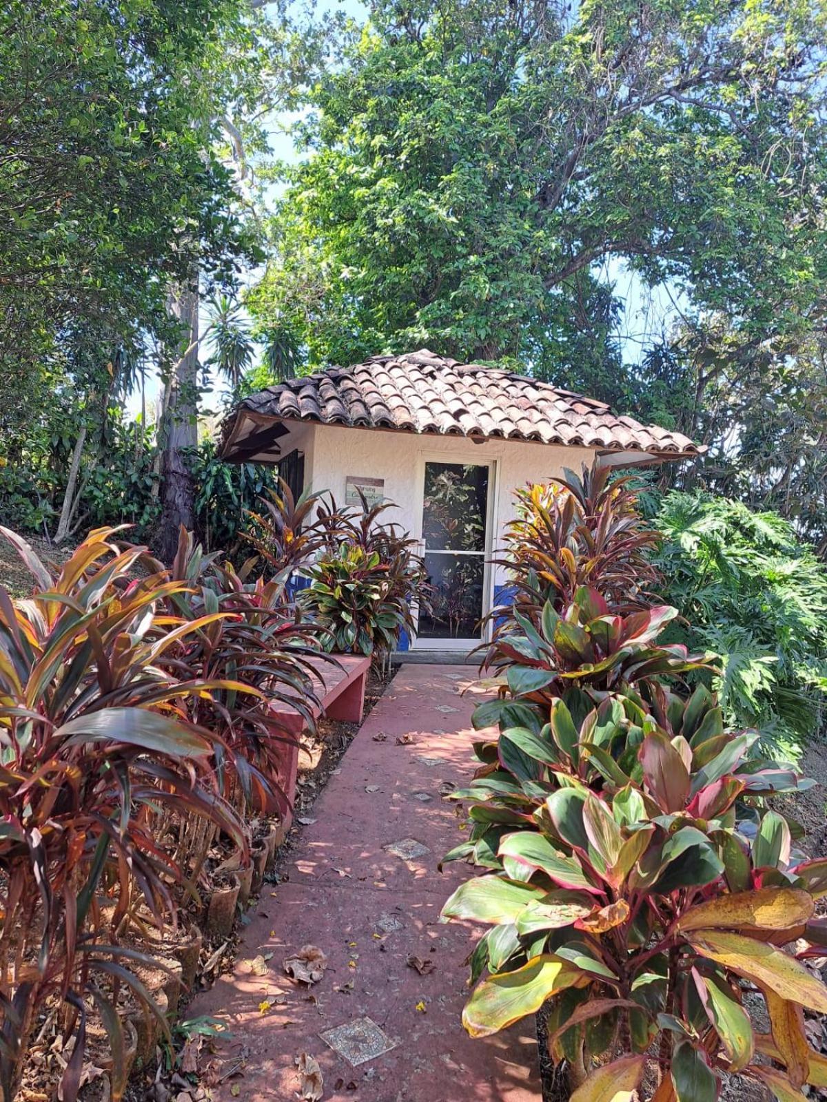 Serenity By Nature Carrillos Exterior photo