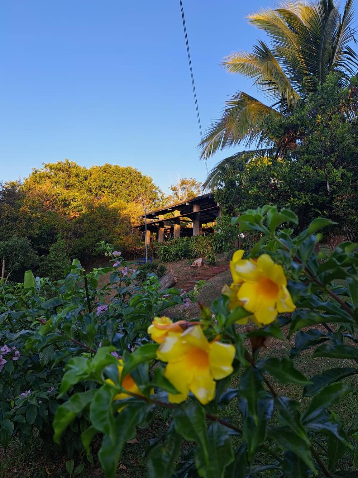 Serenity By Nature Carrillos Exterior photo