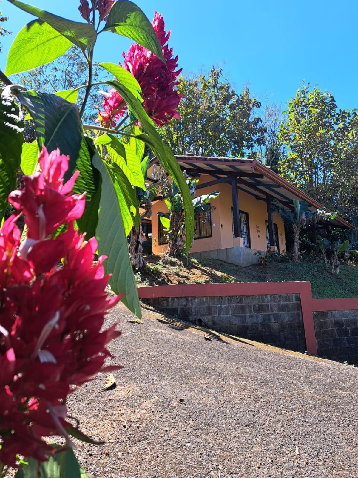 Serenity By Nature Carrillos Exterior photo